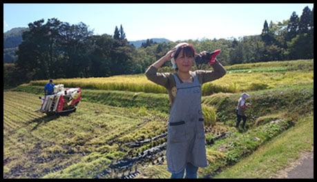 shibatas rice