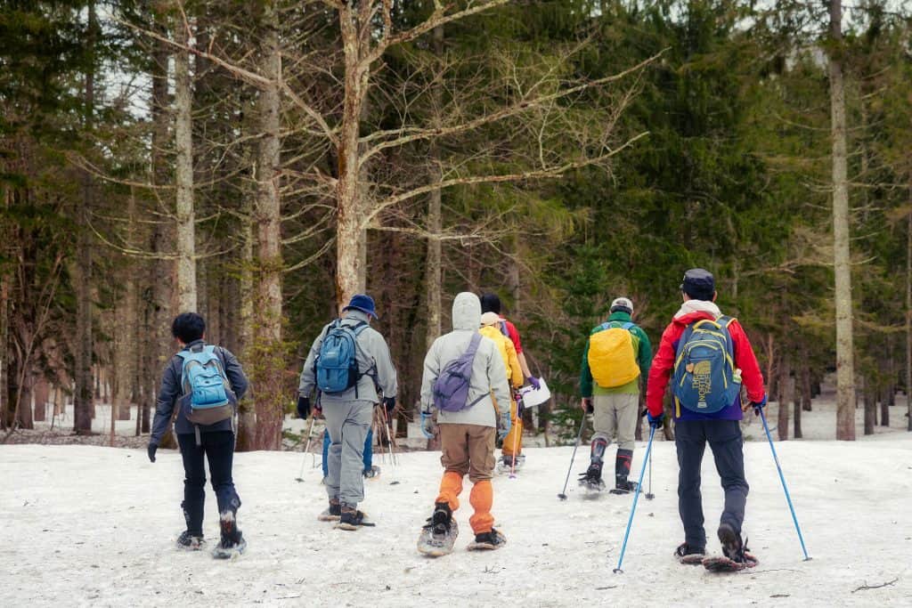 Sasagamine Snowshoe